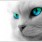 ねこ