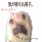 緑野こあら
